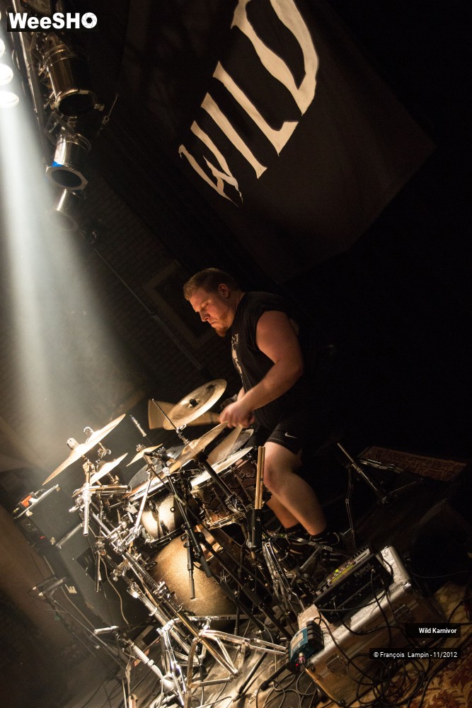 20/40 photos du spectacle Wild