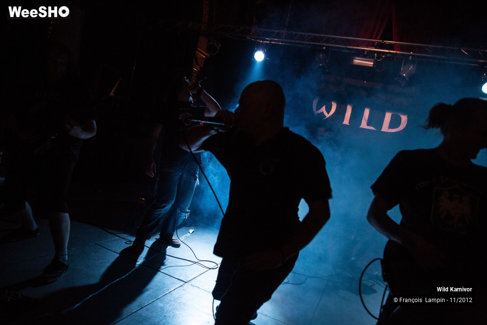 22/40 photos du spectacle Wild