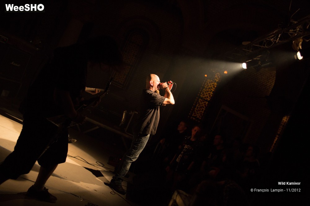 30/40 photos du spectacle Wild