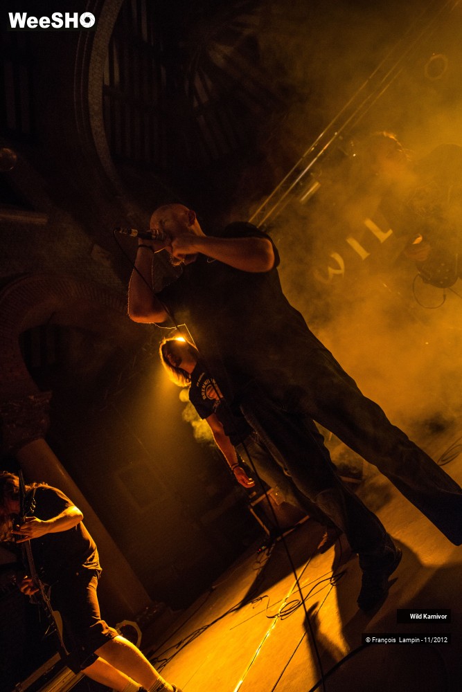 33/40 photos du spectacle Wild
