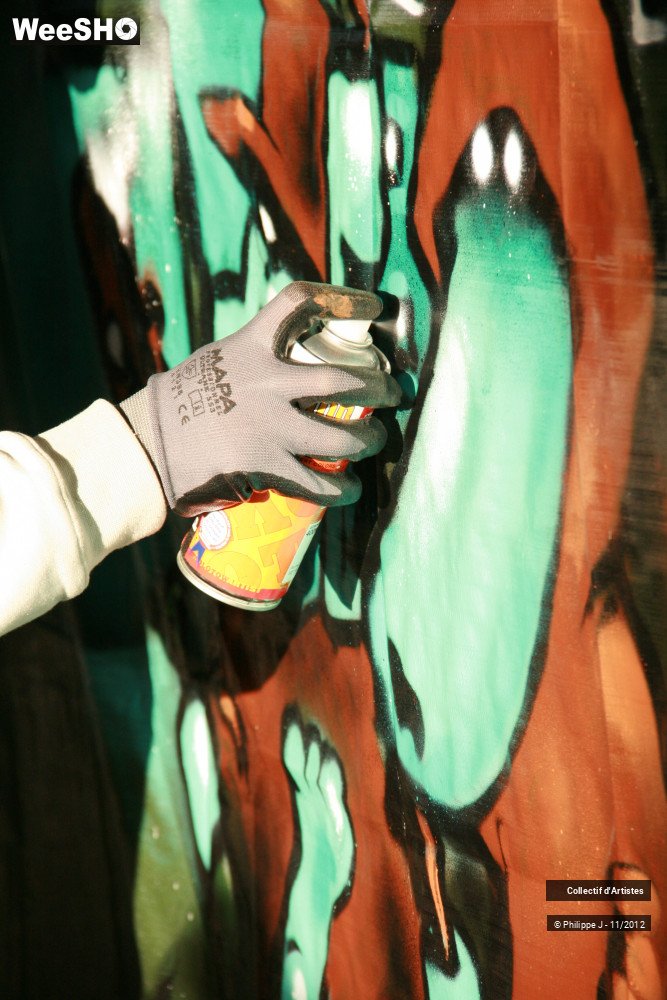 35/44 photos du spectacle Battle International de Graffiti