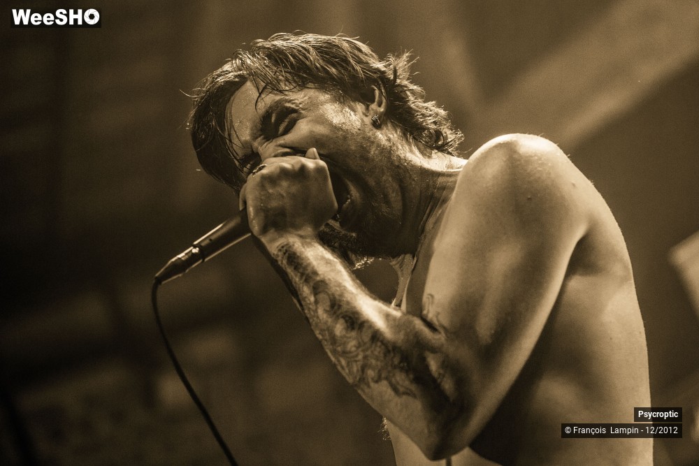 17/29 photos du spectacle Psycroptic