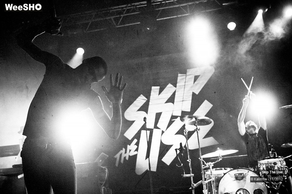 6/47 photos du spectacle Skip The Use