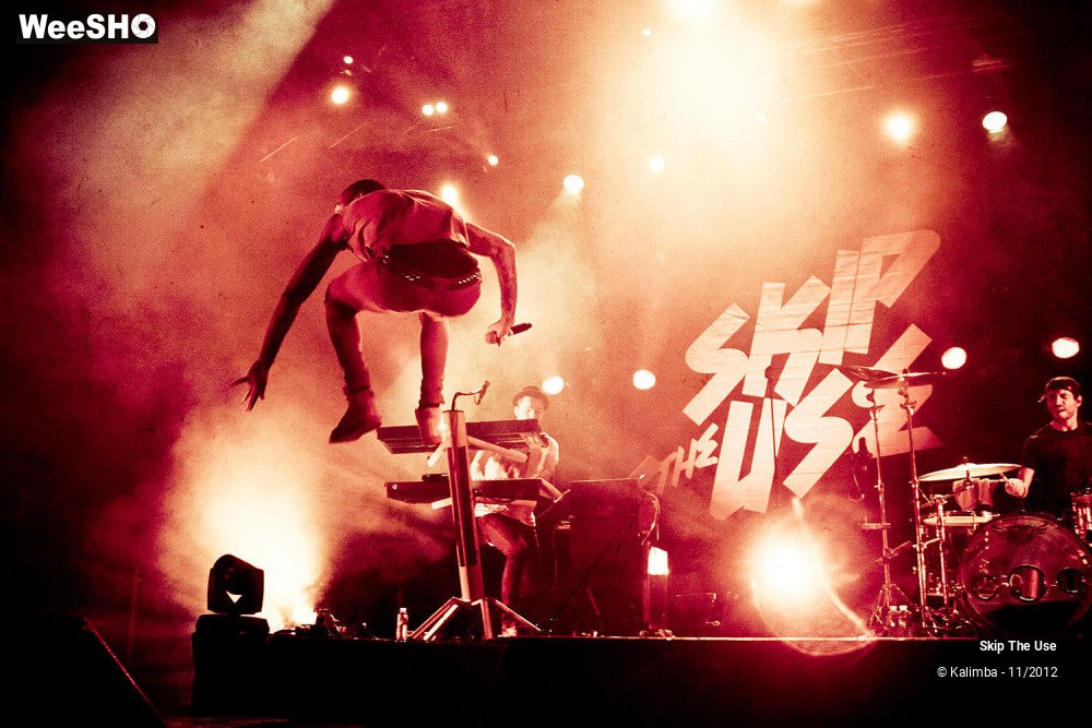 8/47 photos du spectacle Skip The Use