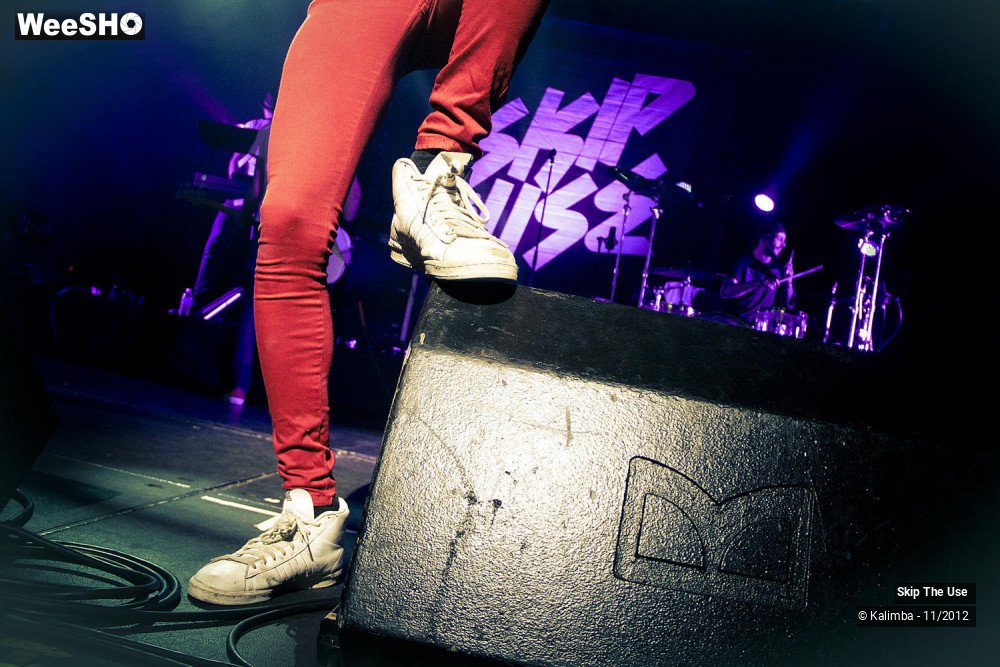 14/47 photos du spectacle Skip The Use