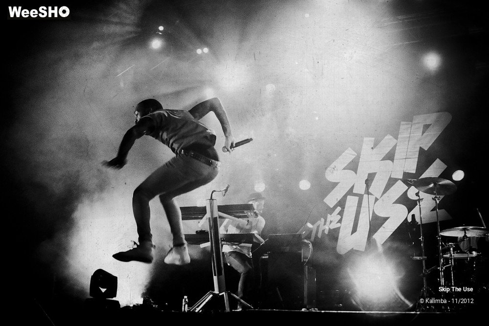 15/47 photos du spectacle Skip The Use