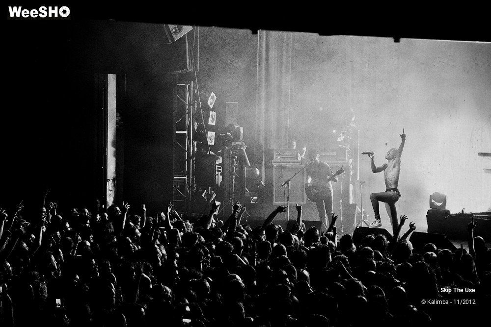 18/47 photos du spectacle Skip The Use