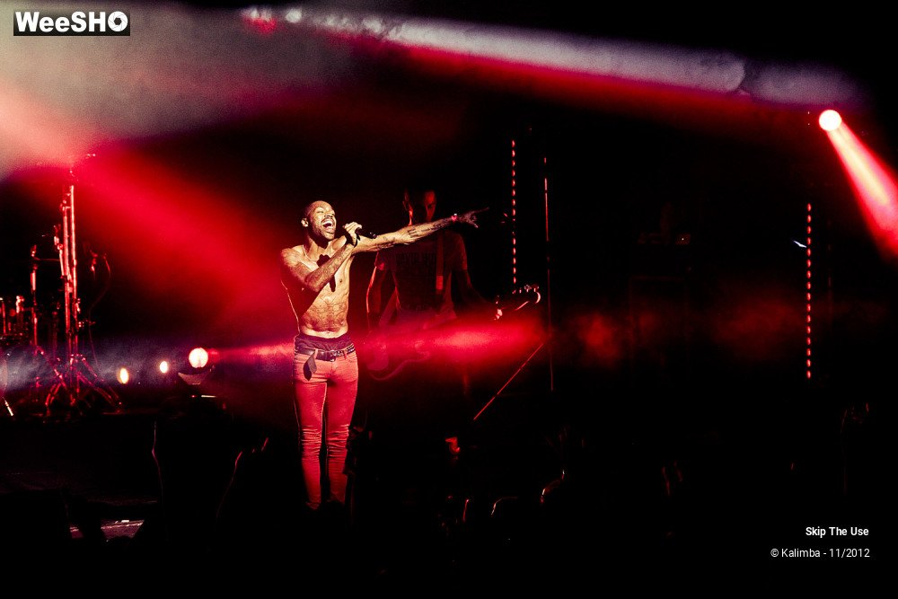 23/47 photos du spectacle Skip The Use
