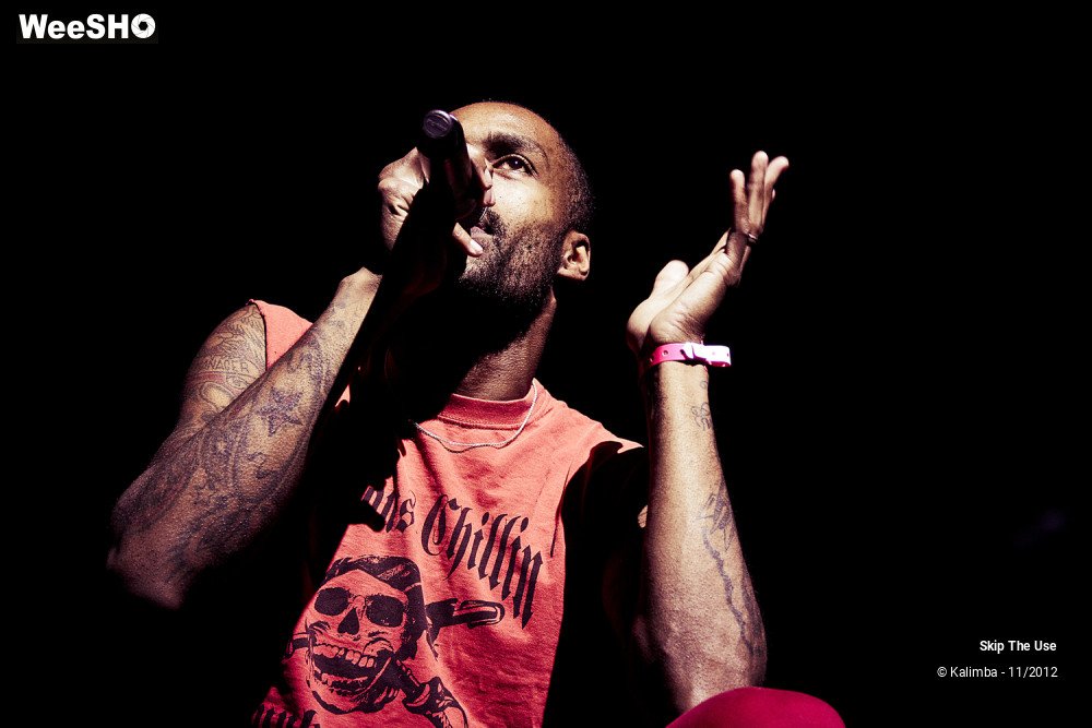 26/47 photos du spectacle Skip The Use