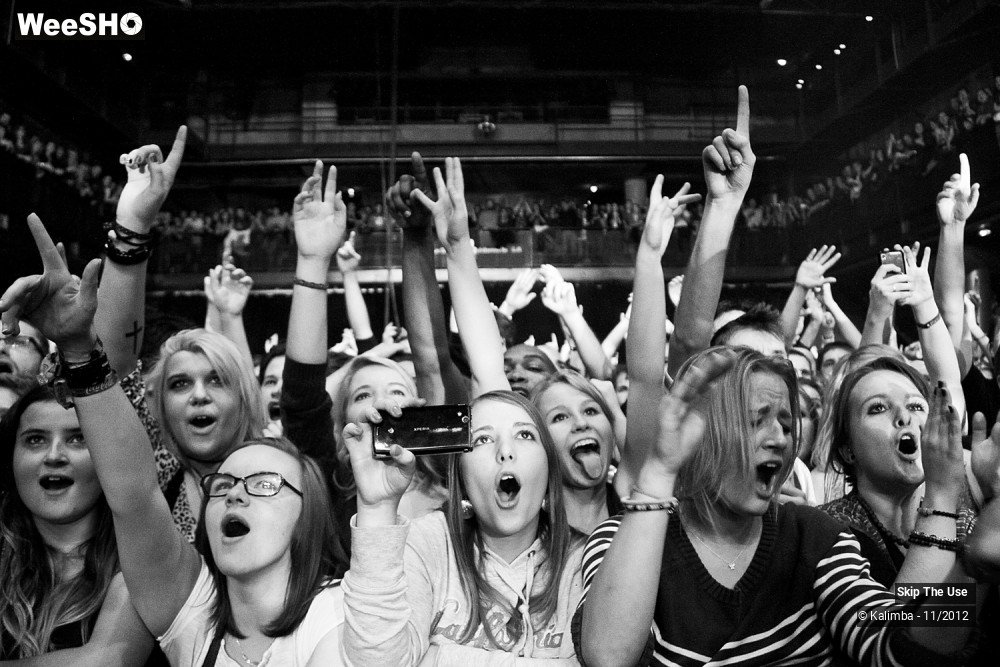 27/47 photos du spectacle Skip The Use