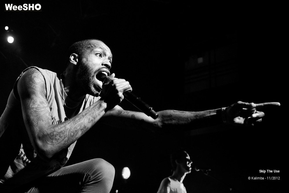 28/47 photos du spectacle Skip The Use