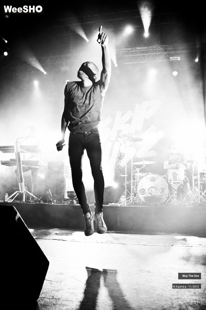 31/47 photos du spectacle Skip The Use