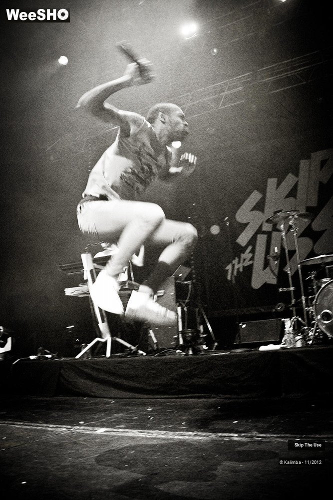 32/47 photos du spectacle Skip The Use