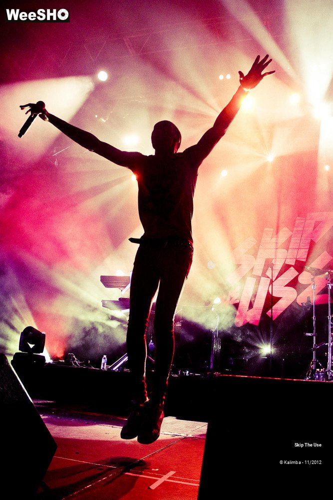 34/47 photos du spectacle Skip The Use