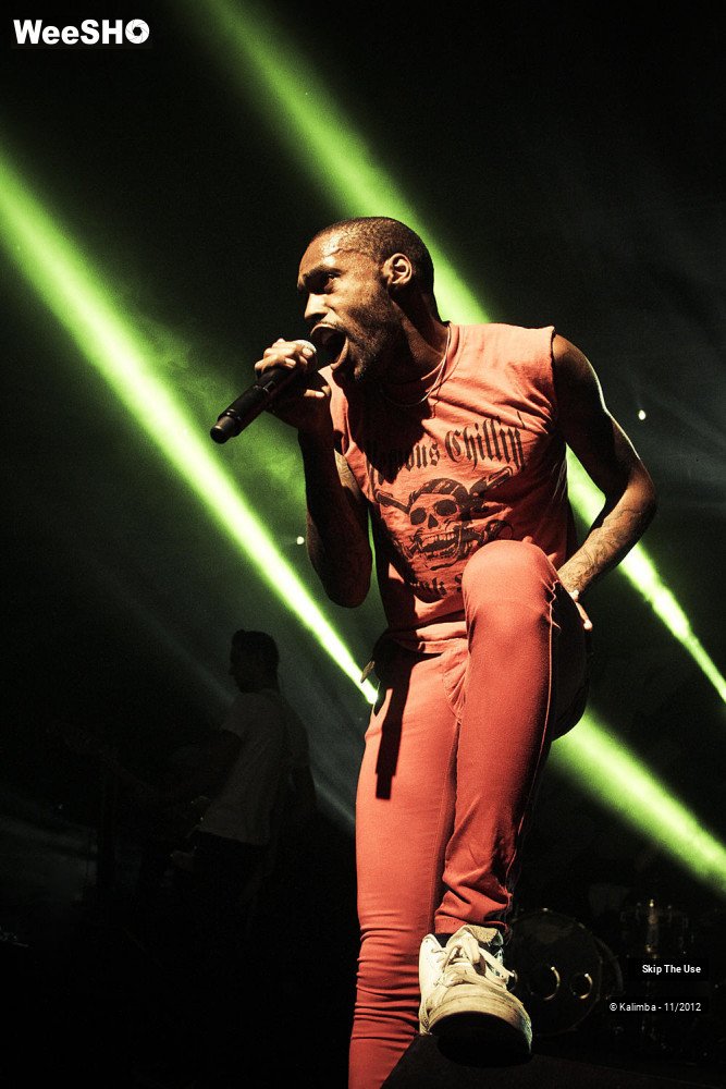 36/47 photos du spectacle Skip The Use