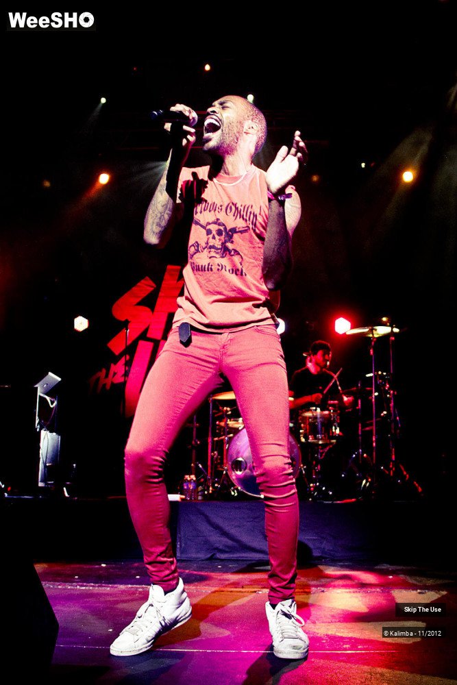 37/47 photos du spectacle Skip The Use