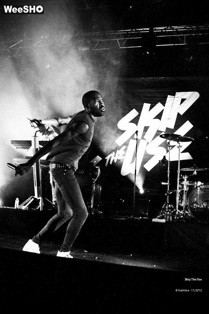 38/47 photos du spectacle Skip The Use