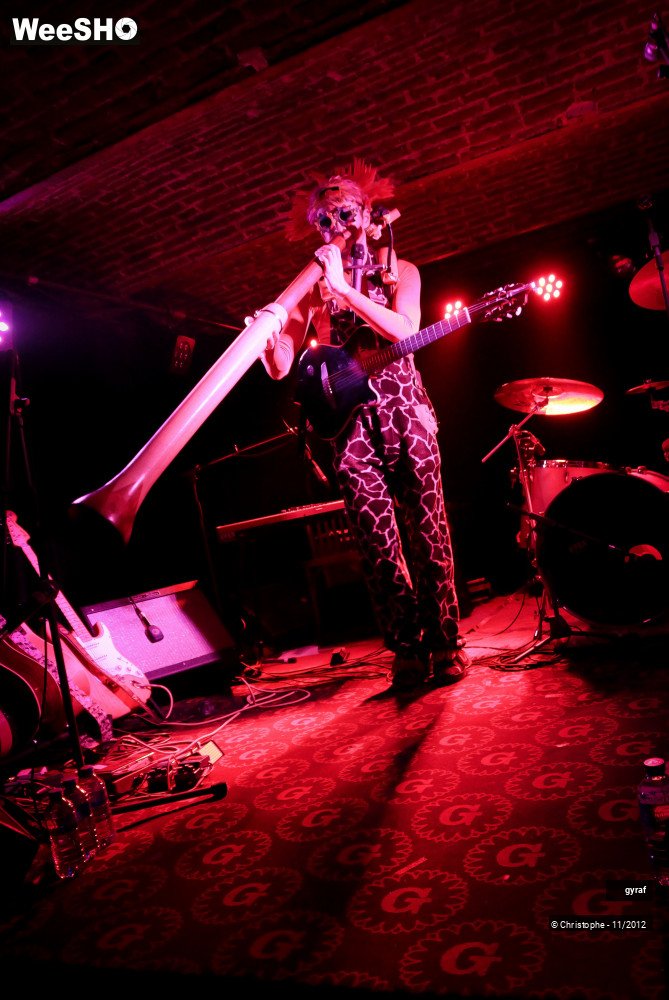 26/29 photos du spectacle Gyraf