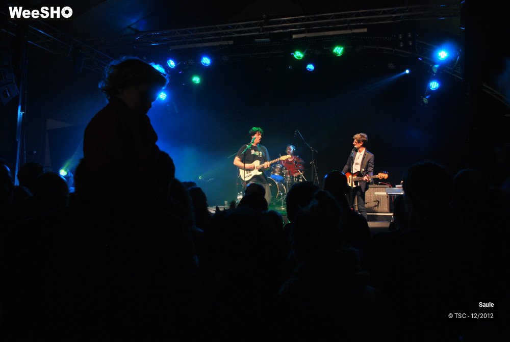 4/7 photos du spectacle Saule