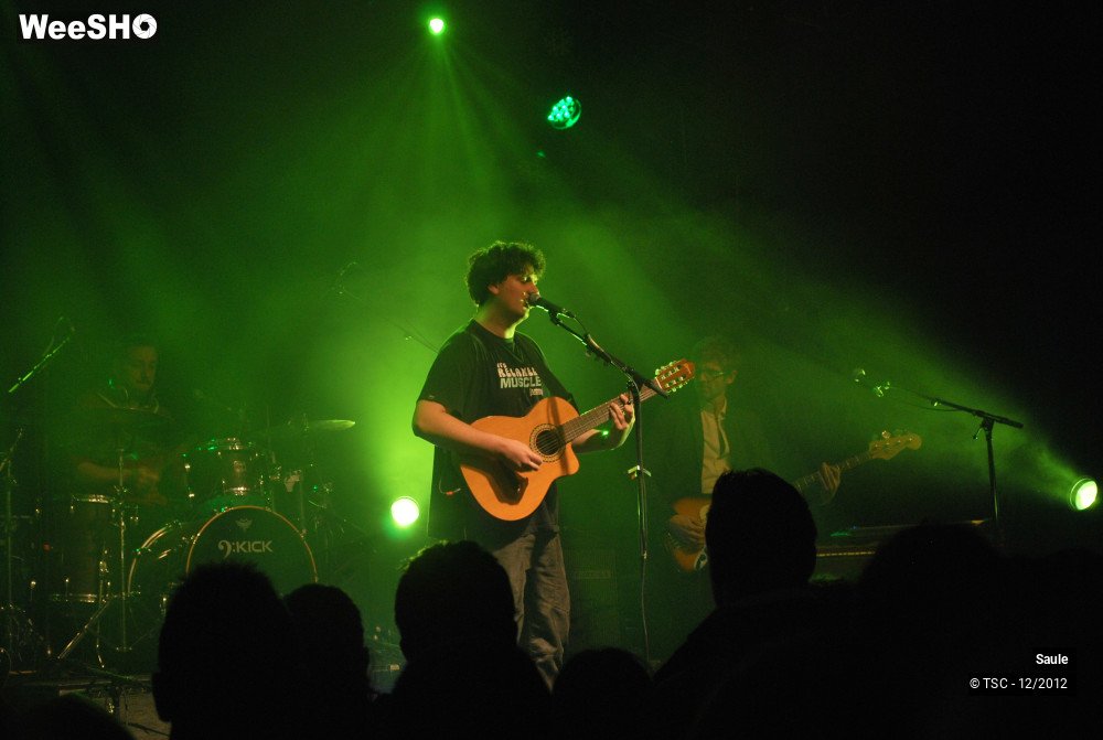 5/7 photos du spectacle Saule