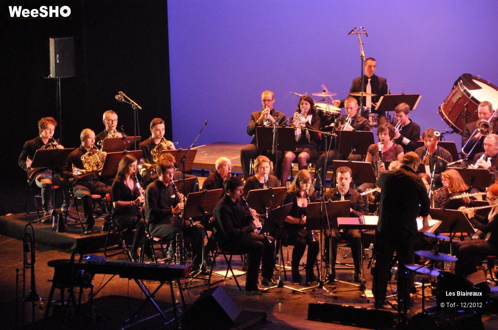 5/50 photos du spectacle Les Blaireaux