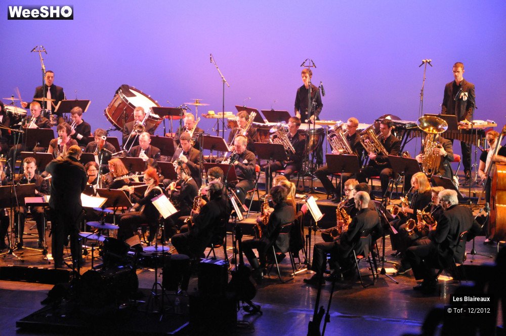 10/50 photos du spectacle Les Blaireaux