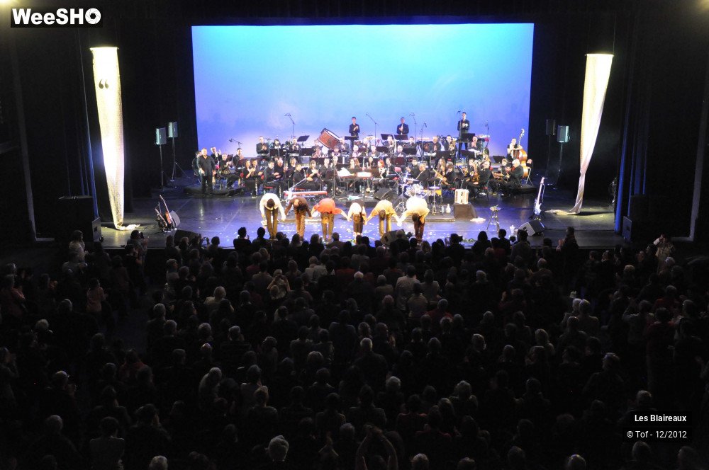 19/50 photos du spectacle Les Blaireaux