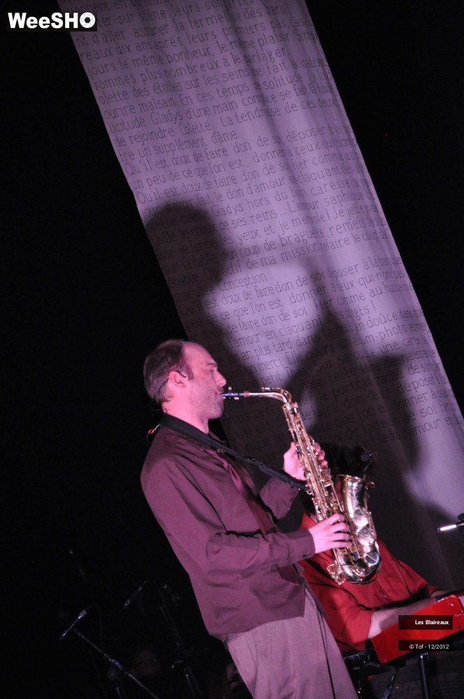 21/50 photos du spectacle Les Blaireaux