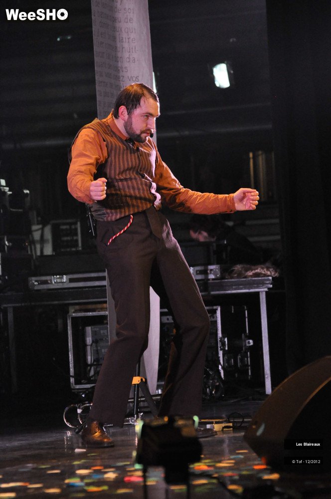 25/50 photos du spectacle Les Blaireaux