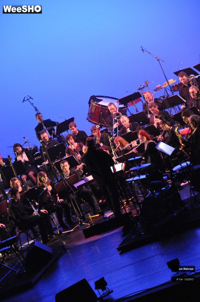 28/50 photos du spectacle Les Blaireaux