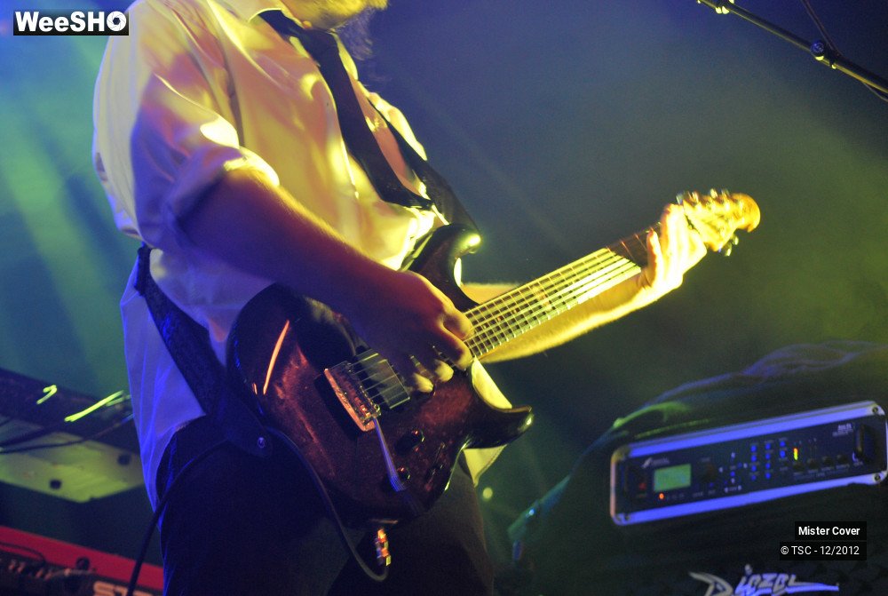 6/24 photos du spectacle Mister Cover