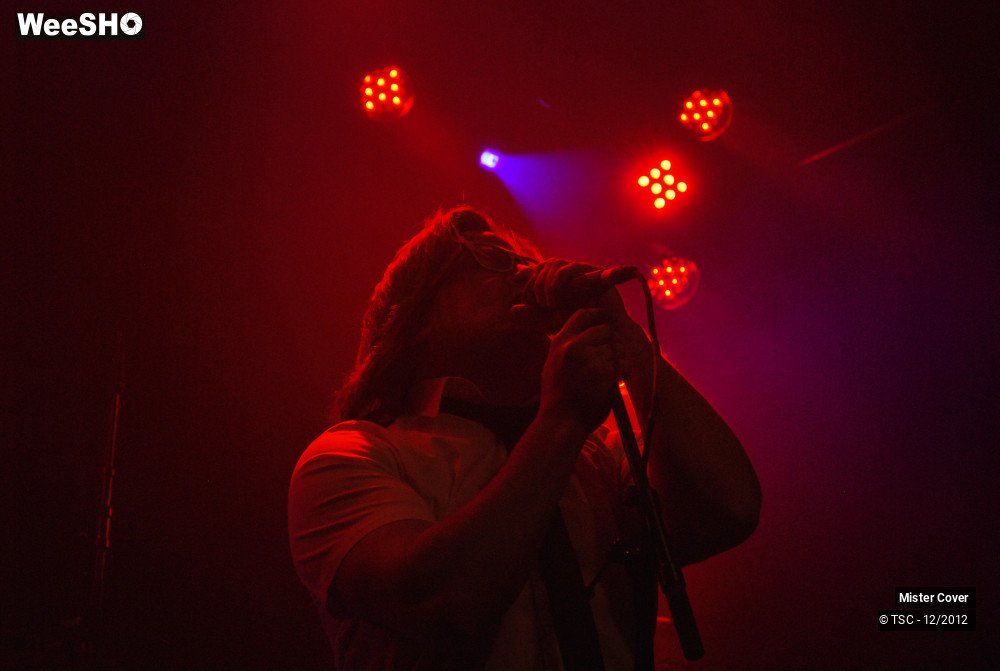 16/24 photos du spectacle Mister Cover