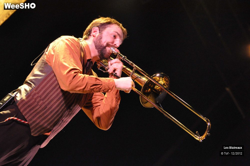 9/50 photos du spectacle Les Blaireaux