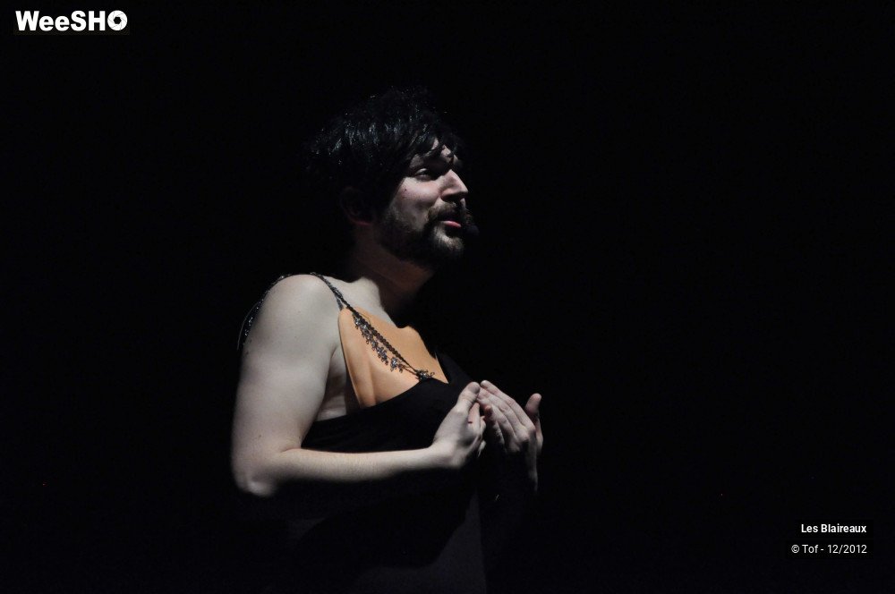 11/50 photos du spectacle Les Blaireaux