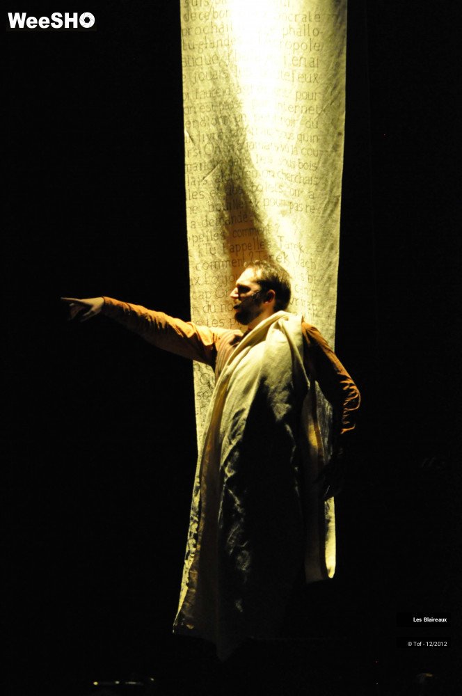 36/50 photos du spectacle Les Blaireaux