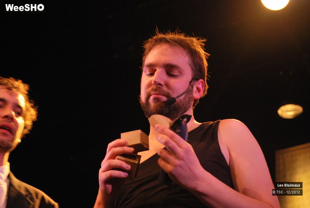 17/31 photos du spectacle Les blaireaux