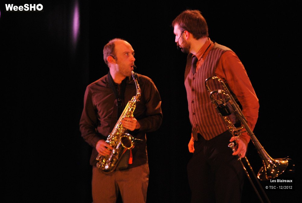 25/31 photos du spectacle Les blaireaux