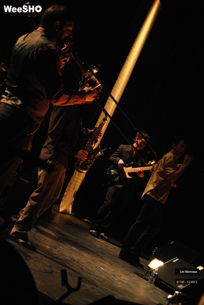 29/31 photos du spectacle Les blaireaux