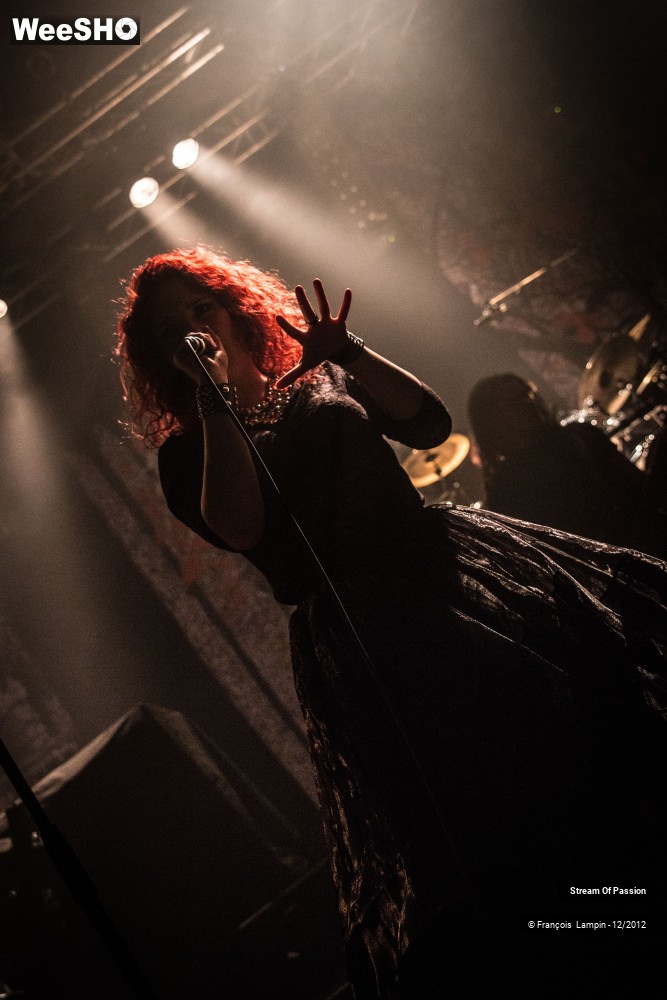 19/28 photos du spectacle Stream Of Passion