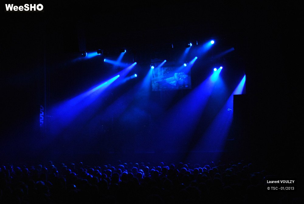 14/26 photos du spectacle Laurent Voulzy