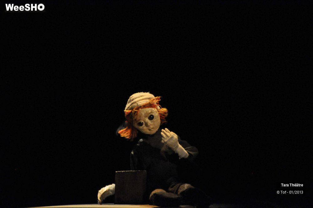 8/28 photos du spectacle Johnny  