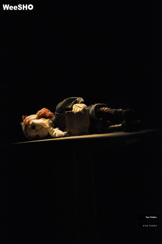 17/28 photos du spectacle Johnny  