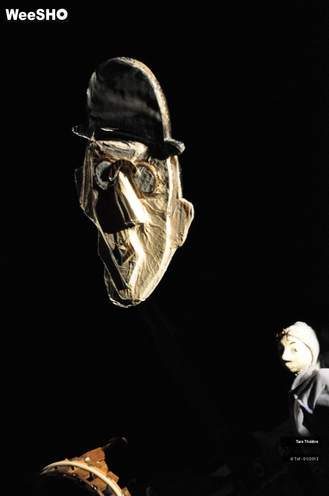 24/28 photos du spectacle Johnny  