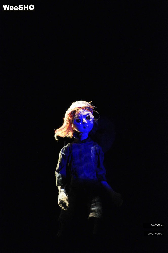 27/28 photos du spectacle Johnny  