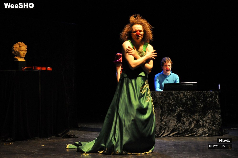 8/50 photos du spectacle Hilarissimo