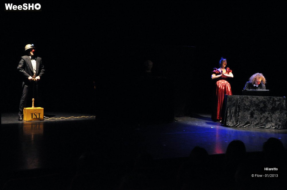 16/50 photos du spectacle Hilarissimo