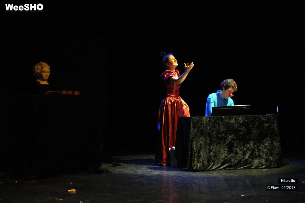 24/50 photos du spectacle Hilarissimo