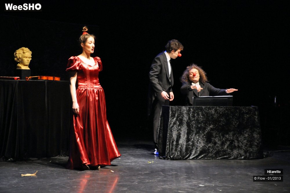 39/50 photos du spectacle Hilarissimo