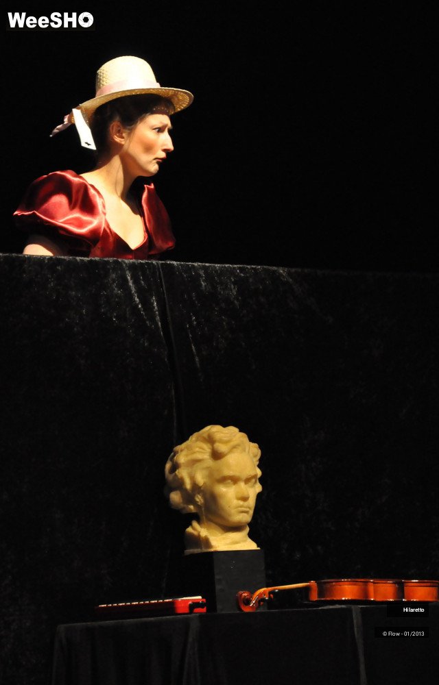 43/50 photos du spectacle Hilarissimo