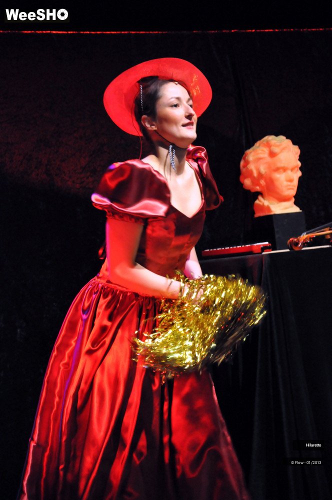 48/50 photos du spectacle Hilarissimo